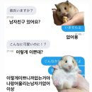 금강산추어탕 | 쭈꾸미왕/뱃살도둑/빽다방/유네일/뚜레쥬르/금강산추어탕/모젤온더테이블/삼시세끼쭈꾸미/화이트그린...