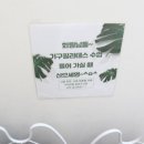 아이리스 짐 | 청라 기구필라테스 초보자 후기 아이리스짐