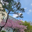 부송 오투그란데 이미지