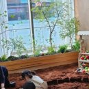 초록초록 가드닝 이미지