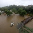 양재천로 이미지