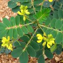 카시아미용실 이미지