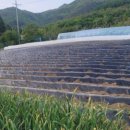 월현농장 이미지