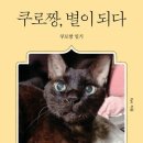 별이되다 이미지