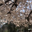 상평현서분교 이미지