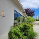 강일목장 | 커피와 빵 분위기 모두 갖춘 강릉 분위기 좋은 카페 "퍼베이드"