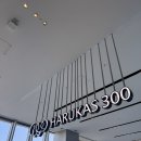 일본 오사카 자유여행 &lt;하루카스300 전망대&gt; 입장권 할인ㅣ간사이 조이 패스 사용처ㅣ우메다 공중공원 비교