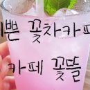 오리나무뜰