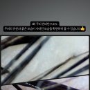 숲칼프 장승배기점