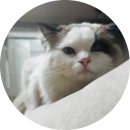 2020스파&풀빌라 이미지