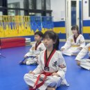 올바른 태권도 이미지