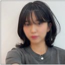 포레스트S