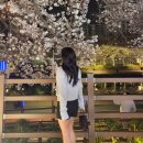 활짝핀 속눈썹 | 4월일상 목포 가기 전 거제 부산 알찬 약속 보내고 갑분 렌즈삽입술 후기까지
