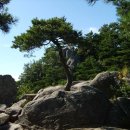 남산1리 이미지