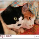 이불이야기 이미지