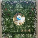 오션힐호텔 | 여수 여행 가성비 숙소 후기, 오션힐 호텔에서 본 가장 예쁜 일몰