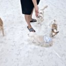 개스트