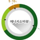 피부쉼터