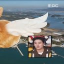 비토하우스펜션 네이버블로그