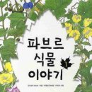 식물이야기 - 완도군 개포로62번길 41 | 식물이야기