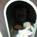 저동농장 이미지