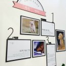 카페거리 동물병원 동행 이미지