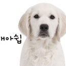역전할머니맥주송정점 이미지
