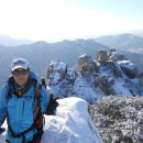 개폼난다 이미지