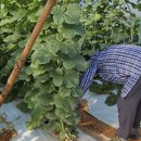 해정경로당 이미지