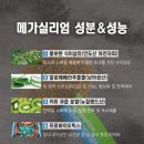 이너 클린