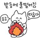 강미애헤어 - 해운대구 | W13 [혼주한복 계약] - 대구 혼주한복 대여 둘러보기! 강미애한복, 라의재 후기
