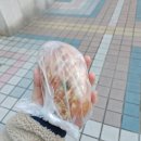 녹즙천국 이미지