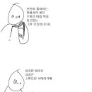 도서출판 나무야미안해 조선일보