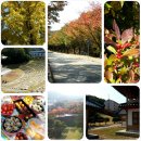 주)사계절푸드 이미지