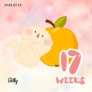 비소(조)-일-17 | 임신 17-20주차 | 셀프주수거울만들기, 딸랑구확정, 아기용품내돈내산 당근후기🥕