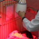 경희다나한의원 이미지