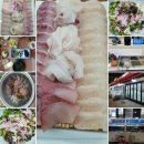 창원 서가수산 후기