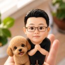 하나토이 Daum카페
