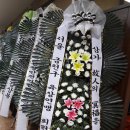 박인택 Daum카페