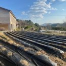 오덕농장 이미지