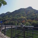 ③ 춘천 의암호, 의암스카이워크, 공지천 (강촌역~춘천역) 라이딩 - ( 2019.10.19 )