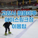어울림누리 빙상장 화장실 | 고양 어울림누리 빙상장 얼음마루 아이스링크장 스케이트장 주차 요금 입장료 스케이트대여 할인 이용팁...