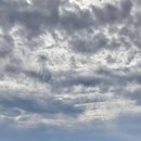 요리하는김선장 이미지