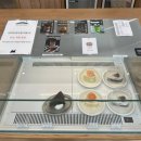 천안천로 | 크레이프롤 맛집 ,먼동