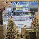 [옥정]네이버 스마트스토어 오픈하기 | 양주꽃집, 옥정꽃집 "엘플레르"