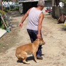 Godot(고도) 이미지