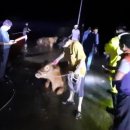 이천열축사 이미지