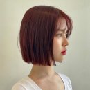 이란헤어 - 정읍시 | 이란헤어