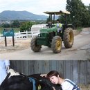 유림목장 이미지