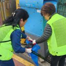 새봄이야 이미지